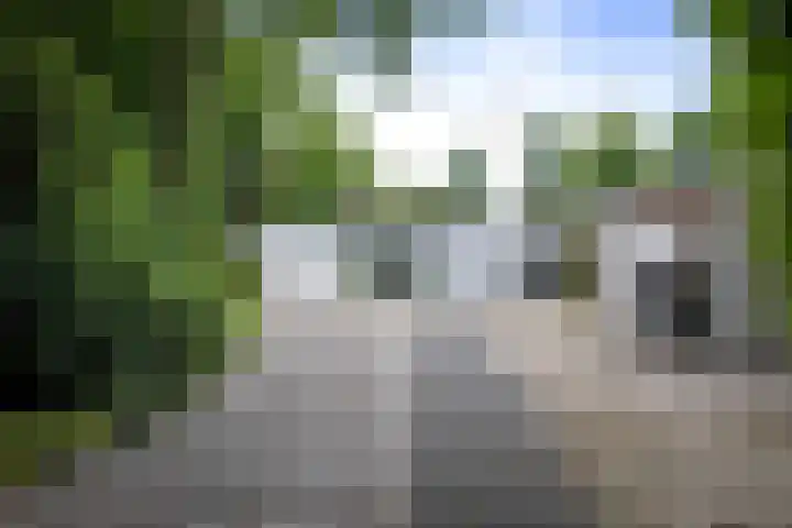 Dellenweg 6 Epe thumbnail 52