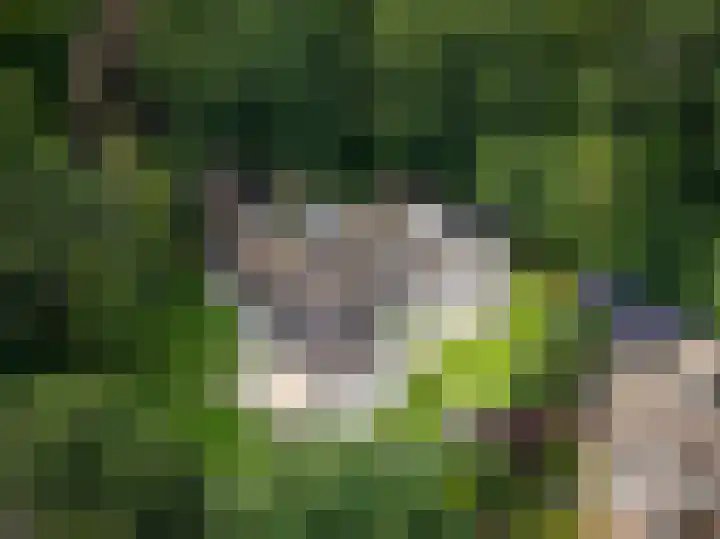 Dellenweg 6 Epe thumbnail 53