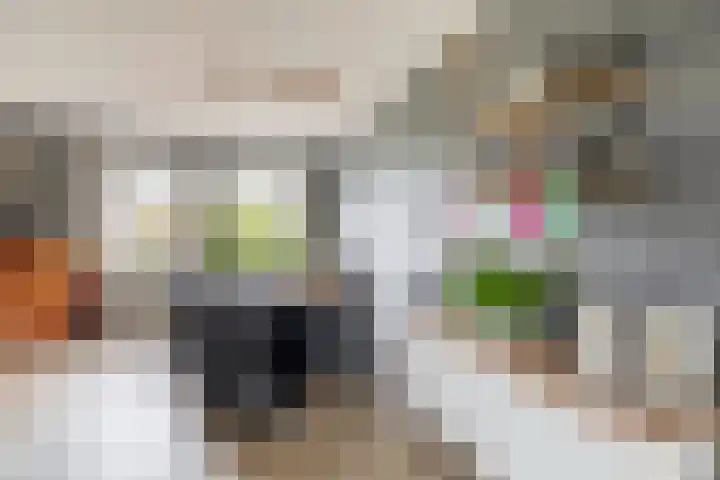 Delmer 16 Vledder thumbnail 11