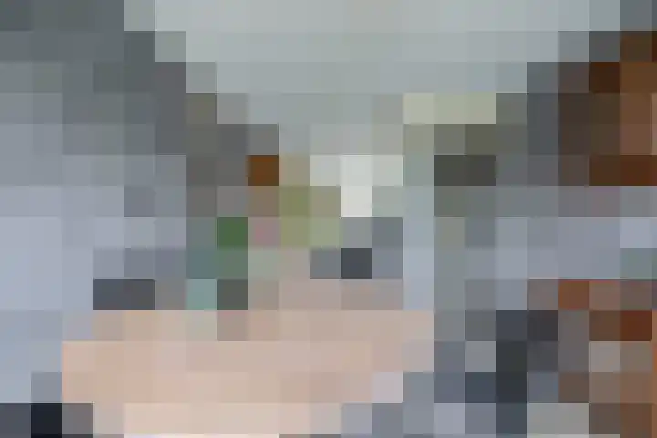 Delmer 16 Vledder thumbnail 13