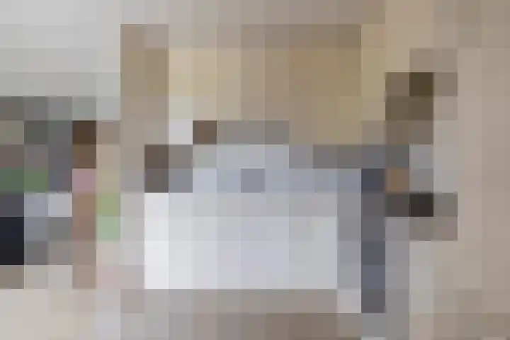 Delmer 16 Vledder thumbnail 14