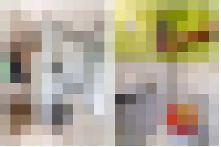 Delmer 16 Vledder thumbnail 17