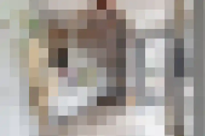Delmer 16 Vledder thumbnail 18