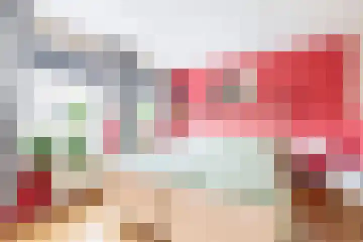 Delmer 16 Vledder thumbnail 19
