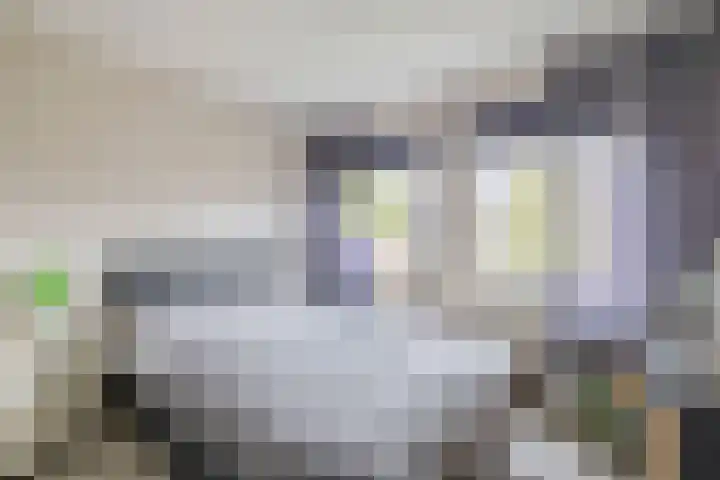 Delmer 16 Vledder thumbnail 25