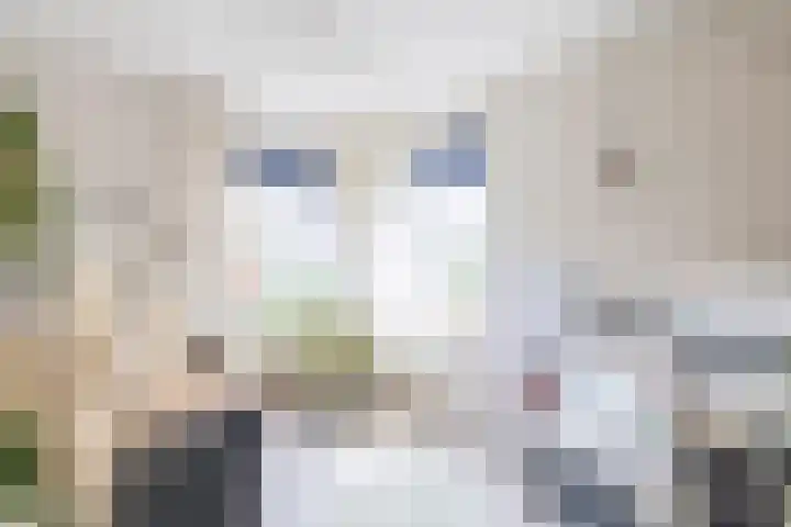 Delmer 16 Vledder thumbnail 26