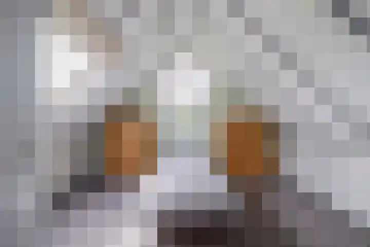 Delmer 16 Vledder thumbnail 29