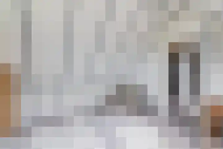 Delmer 16 Vledder thumbnail 30