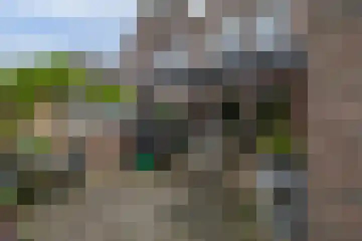 Delmer 16 Vledder thumbnail 34