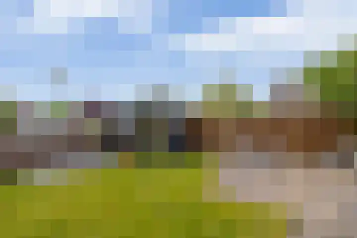 Delmer 16 Vledder thumbnail 37