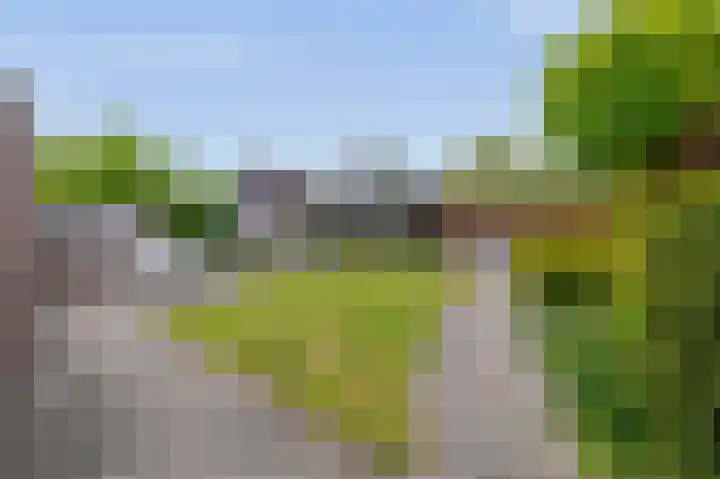 Delmer 16 Vledder thumbnail 4