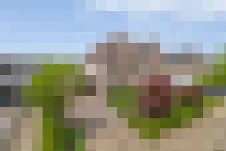 Delmer 16 Vledder thumbnail 43