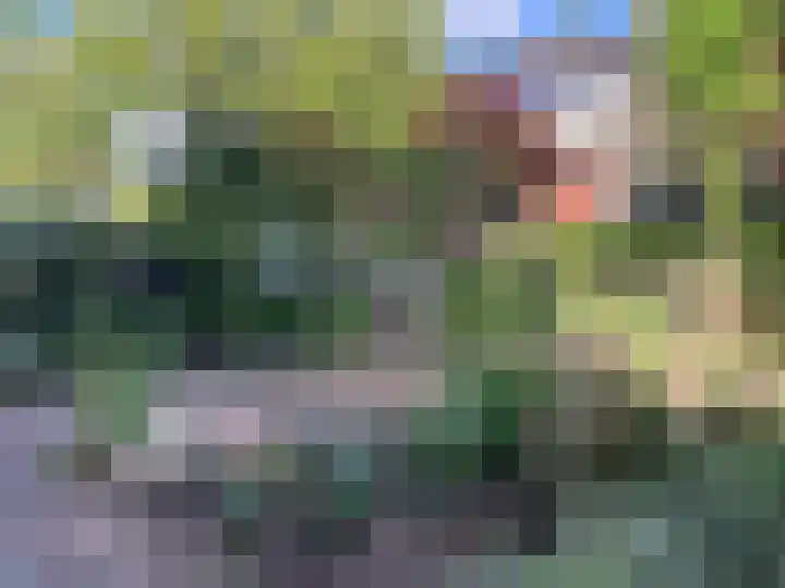 Delmer 16 Vledder thumbnail 45