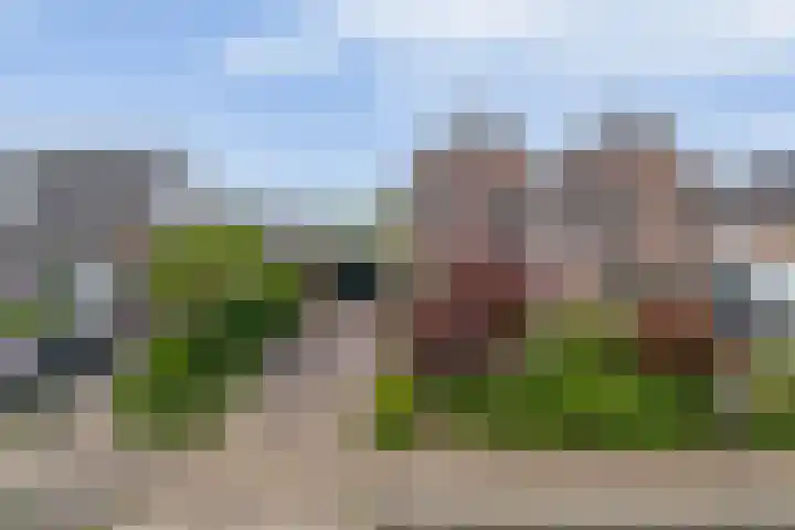 Delmer 16 Vledder thumbnail 47