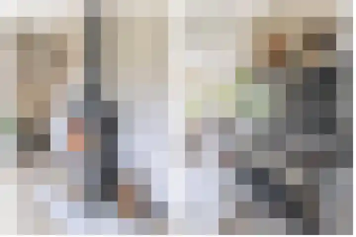 Delmer 16 Vledder thumbnail 9