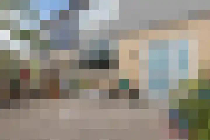 Delta 12 Lelystad thumbnail 12