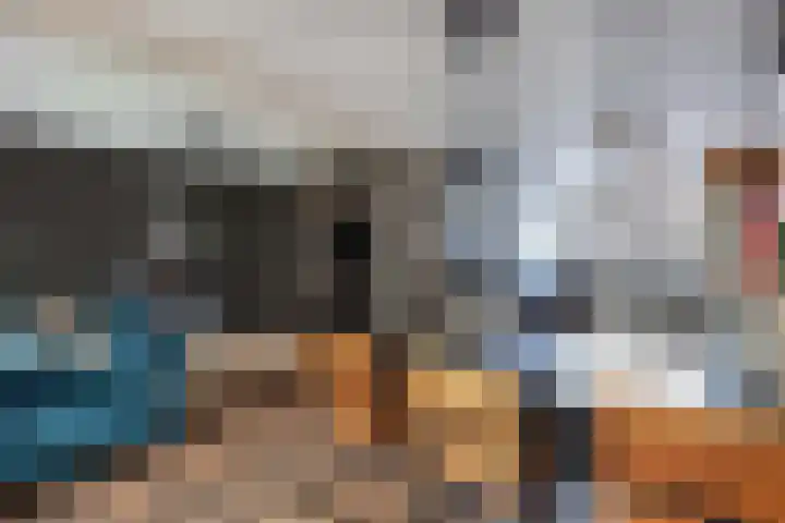 Delta 12 Lelystad thumbnail 20