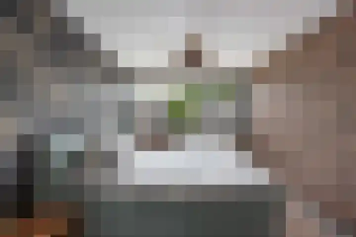 Delta 12 Lelystad thumbnail 30