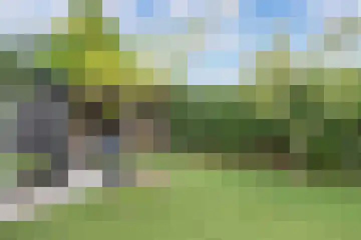 Delta 12 Lelystad thumbnail 51
