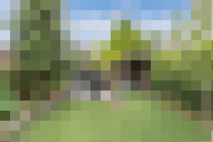 Delta 12 Lelystad thumbnail 52