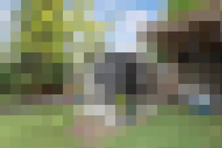 Delta 12 Lelystad thumbnail 53