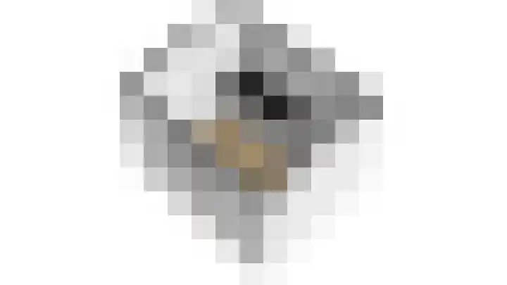 Delta 12 Lelystad thumbnail 64