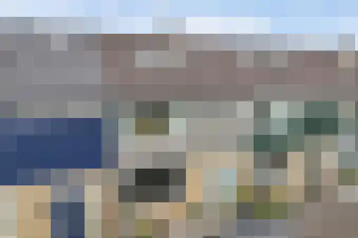 Delta 12 Lelystad thumbnail 8