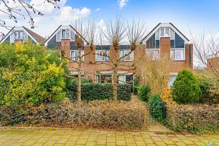 Delta 166 in Huizen foto