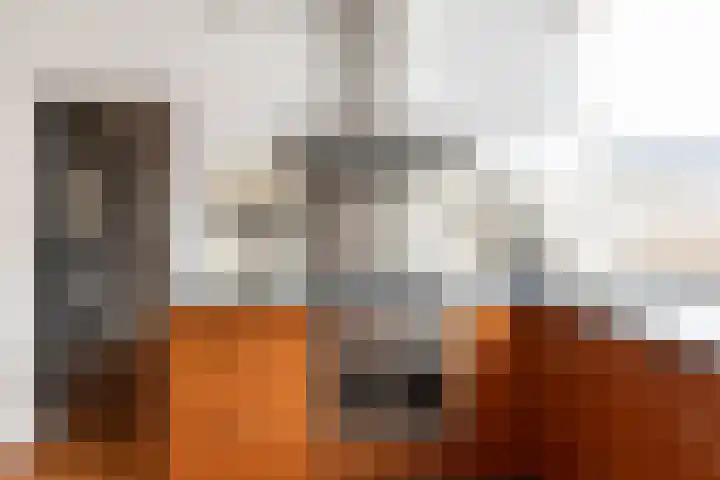 Delta 18 Lelystad thumbnail 24