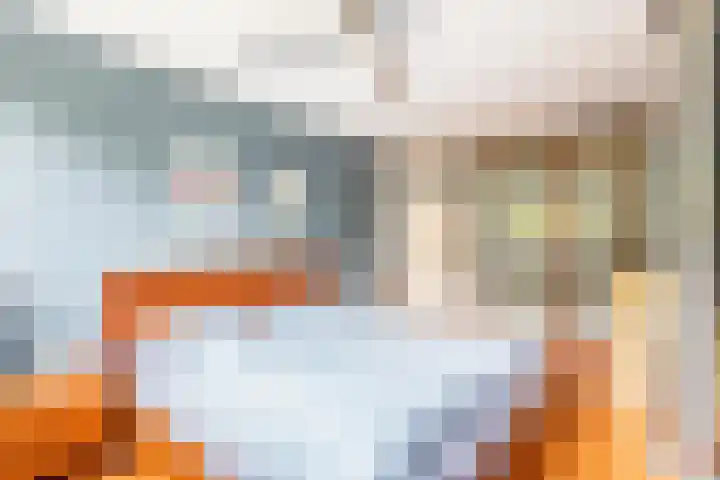 Delta 18 Lelystad thumbnail 33