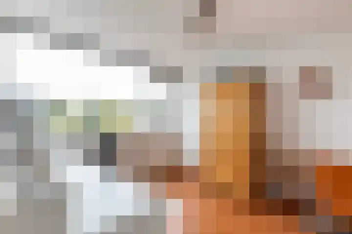 Delta 18 Lelystad thumbnail 35