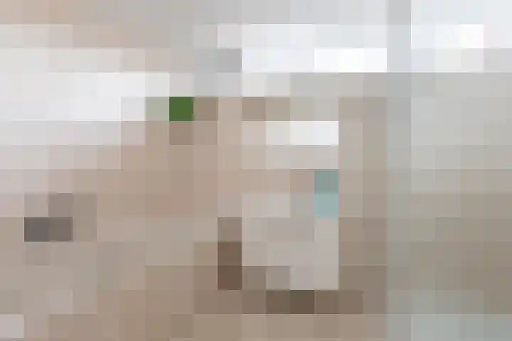 Delta 18 Lelystad thumbnail 4