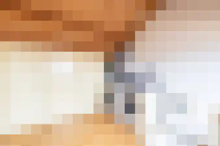 Delta 18 Lelystad thumbnail 41