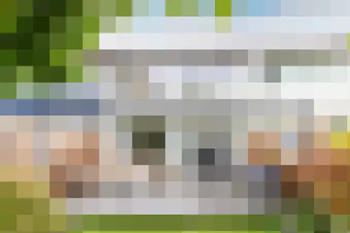 Delta 18 Lelystad thumbnail 45