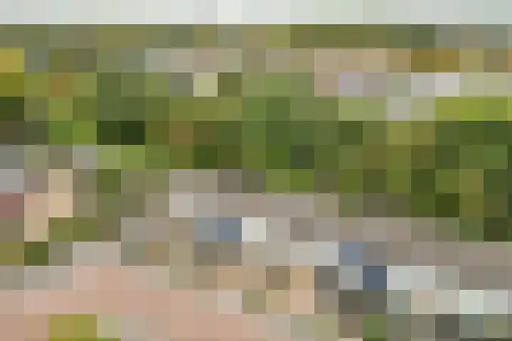 Delta 18 Lelystad thumbnail 5