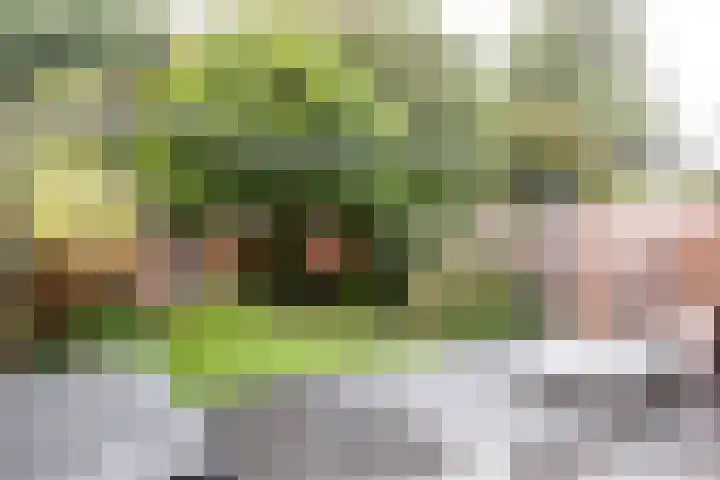 Delta 18 Lelystad thumbnail 51