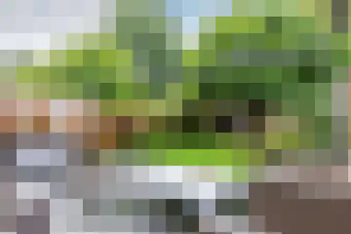 Delta 18 Lelystad thumbnail 52