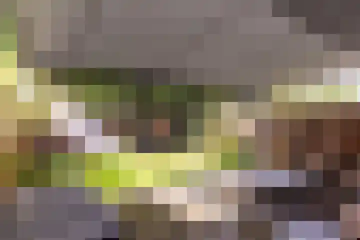 Delta 18 Lelystad thumbnail 53