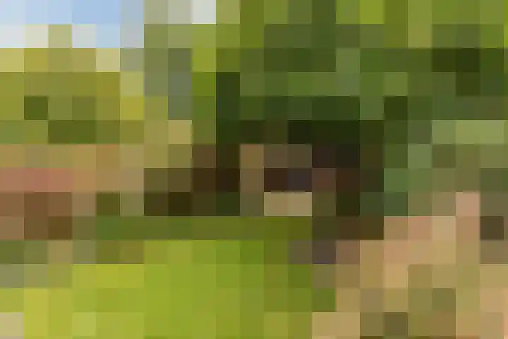 Delta 18 Lelystad thumbnail 55