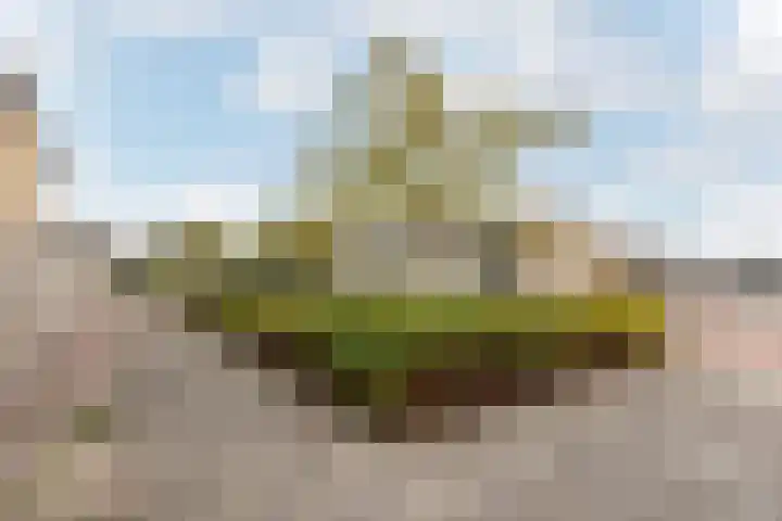 Delta 18 Lelystad thumbnail 64