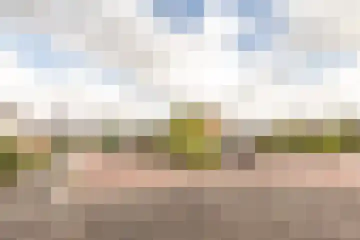 Delta 18 Lelystad thumbnail 65