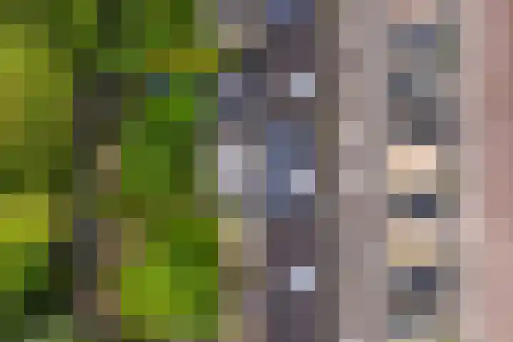 Delta 18 Lelystad thumbnail 67