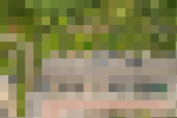 Delta 18 Lelystad thumbnail 68