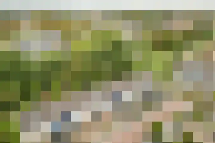 Delta 18 Lelystad thumbnail 70