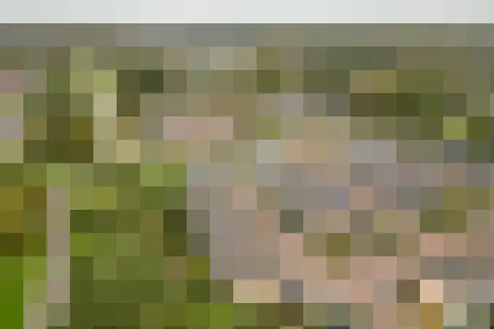 Delta 18 Lelystad thumbnail 75