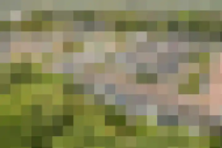 Delta 18 Lelystad thumbnail 76