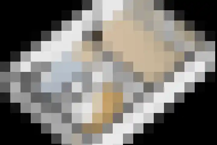 Delta 18 Lelystad thumbnail 82