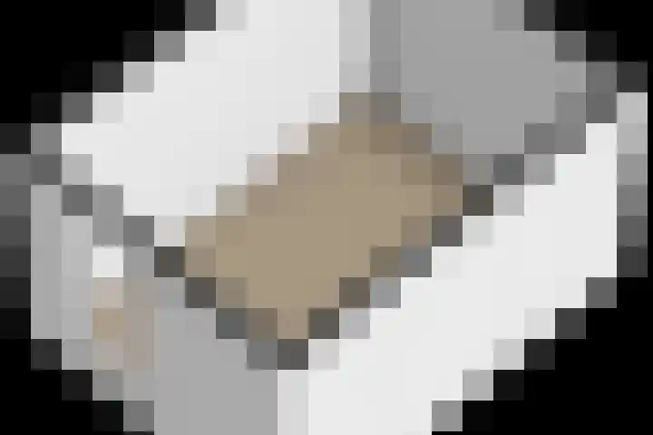 Delta 18 Lelystad thumbnail 85