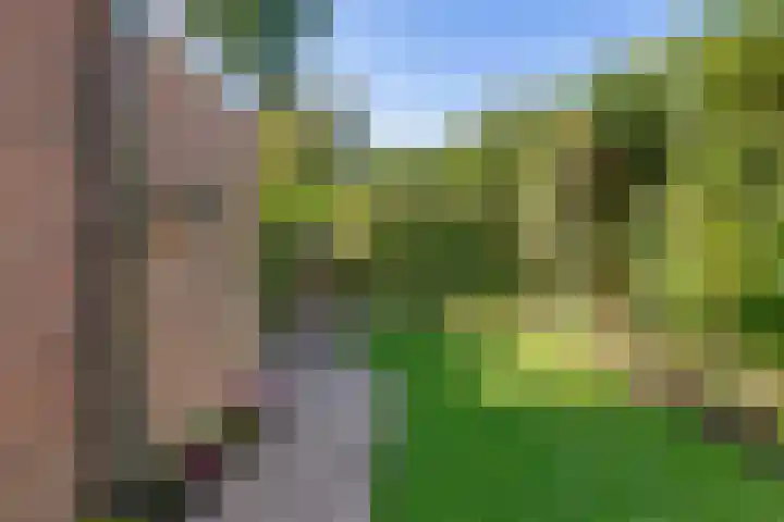 Delta 79 Huizen thumbnail 12