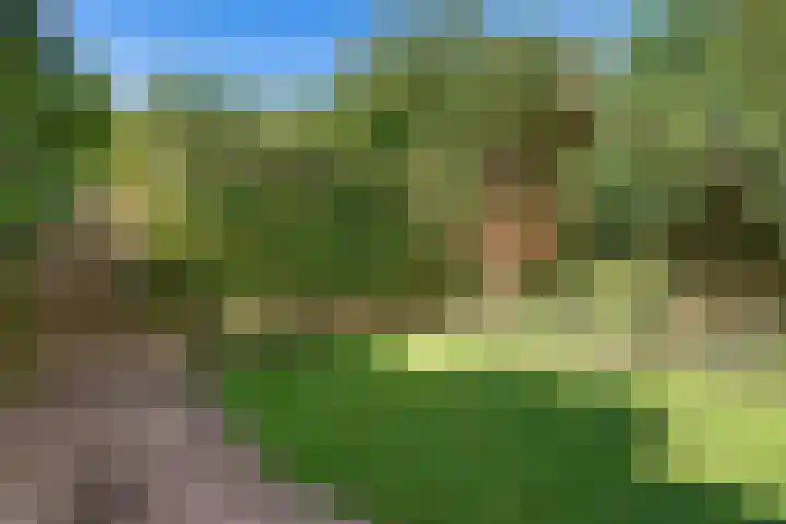 Delta 79 Huizen thumbnail 13